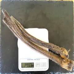 大浦宝　蝦夷鹿　袋角　鹿茸　2080g 2025年最新】鹿茸 袋角の人気アイテム - メルカリ