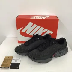 NIKE ナイキ スニーカー DV3337-001 AIR MAX DN 29cm 箱有