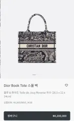 Dior(ディオール) ブックトート ブック・トード ニュースモール トワードズーイ 新品