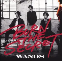 WANDS 第5期 パンフレット TOWER＋ グッズ FCグッズまとめ売り WANDS 第5期 パンフレット TOWER＋ グッズ FCグッズまとめ売り