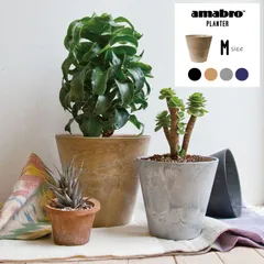植木鉢　amane Sagan studio Laurel Large 植木鉢 amane Sagan studio Laurel Large