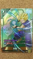 遊戯王OCG 青眼の白龍 シークレットレア 3枚セット 25周年 海馬セット 遊戯王 青眼の白龍 シークレット 3枚セット 海馬セット 25th