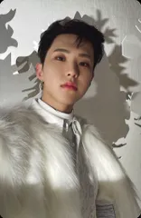 SEVENTEEN HOSHI あいのちから 通常盤 トレーディングカード