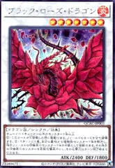 2025年最新】ブラックローズドラゴンの人気アイテム - メルカリ