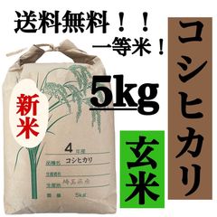 玄米　5kg コシヒカリ　新米　埼玉県産　令和4年産　送料無料　米　5キロ