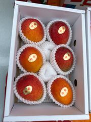 沖縄県産マンゴー 6玉 1.8〜2kg