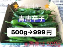 ★常温便★激辛青唐辛子　500g 　長野県産 信州 産地直送のサムネイル