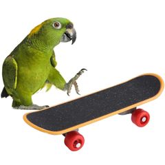 新品　立ち上がりトレーニング ストレス軽減おもちゃ 鳥 鳥 知育トレーニング オウム ペット用品 ミニおもちゃ 玩具 ミニスケボー