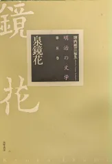 文学と時代 泉鏡花 [DVD] Amazon.co.jp: 文学と時代 泉鏡花 [DVD] : DVD