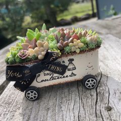 オーダー承ります 多肉植物寄せ植えそのまま飾れるちま寄せ花車