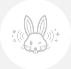 【2023年限定品】AirTag  兎年限定デザイン