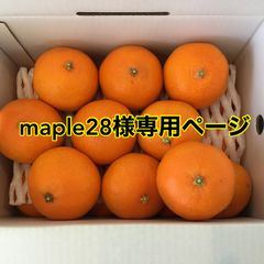 愛果28号