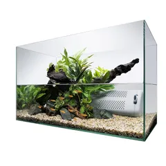 水槽　まとめ売り Amazon.co.jp 売れ筋ランキング: 魚飼育セット の中で最も人気の