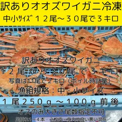 2025年最新】脱皮殻の人気アイテム - メルカリ