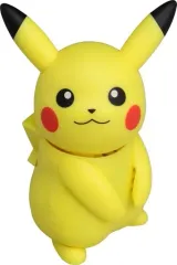 新品未使用に近い美品　ヒトカゲ　イーブイ　おやすみピカチュウ　ハロピカ　スイクン ピカチュウ＆イーブイ ペアセット S (ポケットモンスター ALL
