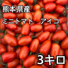 熊本県産★ミニトマト　アイコ　3キロ