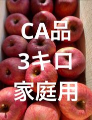 青森県産りんごフジ CA品家庭用3キロ