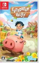【新品】 Everdream Valley Nintendo Switch 佐賀