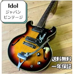 2024年最新】teisco ピックアップの人気アイテム - メルカリ