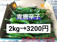 ★常温便★激辛 青唐辛子 2kg　長野県産 信州 産地直送のサムネイル