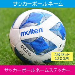 【ひらがな・カタカナ】２枚入り　サッカーボール名前シール
