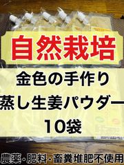 自然栽培 黒にんにく「土佐の隠し玉」中袋２袋セット 農薬・肥料・畜糞