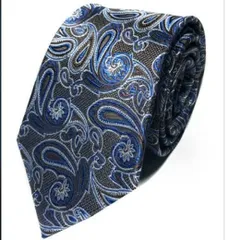 メンズネクタイ ネクタイ　ペイズリー柄　シルバー ブルー　ブラウン　結婚式　発表会　パーティー　イベント　ダンスパーティー　バーテンダー　卒業式　卒園式　入学式　入社式　成人式　父の日　七五三祝い 　ワイシャツ スーツ 格安 小物