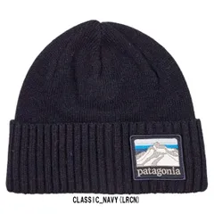 正規品☆人気商品☆パタゴニアニット帽
