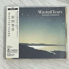浜田省吾｜ウェイステッド・ティアーズ（中古CD）