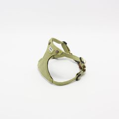 Item thumbnail for item c45efe14-d859-4466-8c33-218fb666a29e