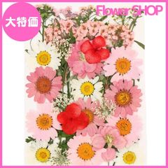 【大特価】押花 ピンクカラー ドライフラワー ハンドメイド用 レジン ハーバリウム ブリザードフラワー クラフト 花材