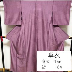 ❤️❤️❤️うさうさ848◇訳あり◇夏用 洗える 七五三絽 色無地