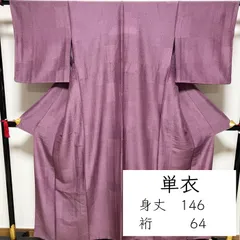 F137　単衣　江戸小紋　紫　名物裂