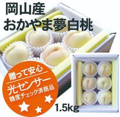 【冷蔵便】岡山産　糖度測定品　おかやま夢白桃　5～6玉入　1箱　ご予約商品　発送：8月上旬～