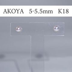 珍しい テリ最強 彩凛クラス アコヤベビーパール 5-5.5mmプラチナ