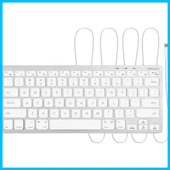 【在庫処分】有線 キーボード コンパクト サイズ US配列 Type-C mac Windows兼用 静音性に mac シザースイッチ フルサイズ 78キー USB 在宅勤務 テレワーク (UCSLIMKEYCA) MACALLY US配列 英語版