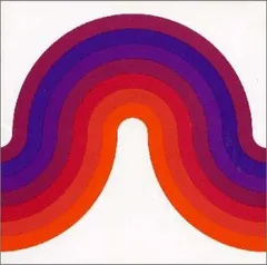 邦楽 FANTASTIC PLASTIC MACHINE Luxury LP FANTASTIC PLASTIC MACHINE / Luxury 2LP – TICRO MARKET