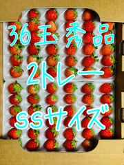 夏いちご　36玉秀品　2トレー　北海道産