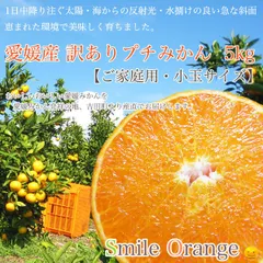 みかん Smile Orange 愛媛産 訳あり 完熟プチみかん 5kg ご家庭用 プチ 小玉 小粒 こつぶ S 2S 3S みかん 愛媛みかん 早生みかん 果物 国産 柑橘 柑橘類 フルーツ