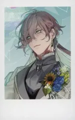 2025年最新】シアンブロフィワーズの人気アイテム - メルカリ