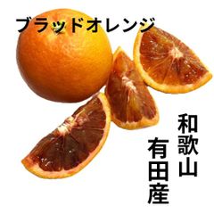 和歌山・有田　ブラッドオレンジ　5kgのサムネイル
