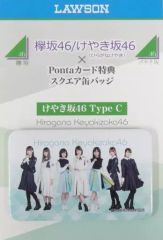 けやき坂46 ひらがなけやき 日向坂46 Pontaカード スクエア缶バッジ
