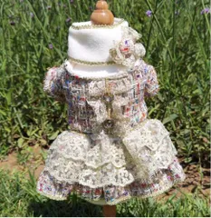 宮殿スタイルセットアップドレス 【犬服 ハーネス＆リード専門店ルモール rumor】犬服 犬の服 ペット 猫 高級感・ワンピース・萌え・マフラー・フリル・撮影会・パーティー・ドレス