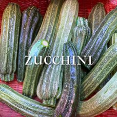 【クール便】富山県産ズッキーニ M～Lサイズ 約1.8kg