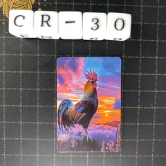 防水ステッカー オンドリ ニワトリ ギャラクシーアニマル レインボー 動物 イラスト かっこいい CR-30