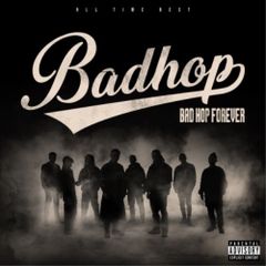 激レア 廃盤BAD HOP 1stアルバム　初期 希少badhop バッドホップ 激レア 廃盤BAD HOP 1stアルバム 初期 希少badhop バッドホップ - メルカリ