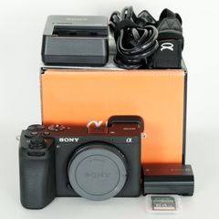 美品｜シャッター数2,250回｜チャージャー・SDカード付] SONY