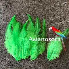 ◾️⭐︎【F7黄緑】高品質 羽根 フェザー ハンドメイド 素材 鳥 パーツ　鳥の羽根