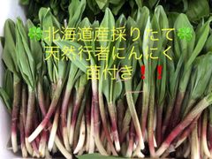 天然行者にんにく1kg 冷蔵発送＊アイヌネギ- メルカリ