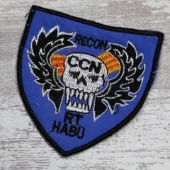 DE65 スカル ドクロ 骸骨 ベトナム 戦争 ワッペン CCN RT HABU RECON 南ベトナム 刺繍 おしゃれ リメイク アメカジ 軍物 青